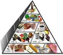 Пищевая пирамида для вегетарианца